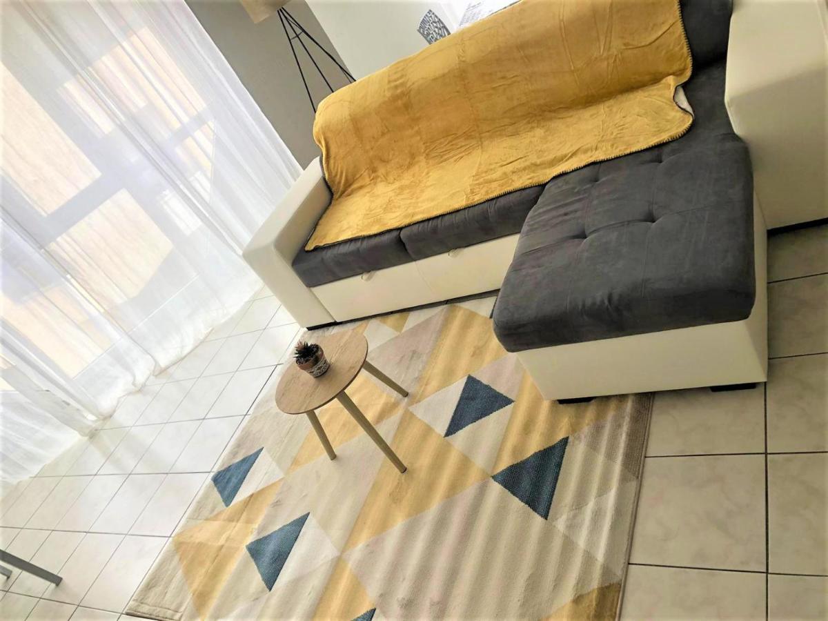 Appartement Le Petit Loup Palois - Terrasse & Wifi Fibre à Pau Extérieur photo